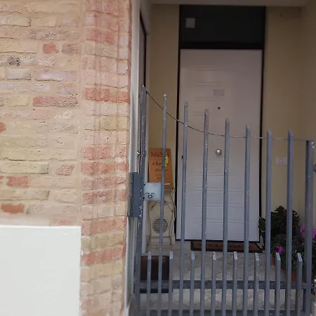 Dolci Notti Di Maga Cacao *